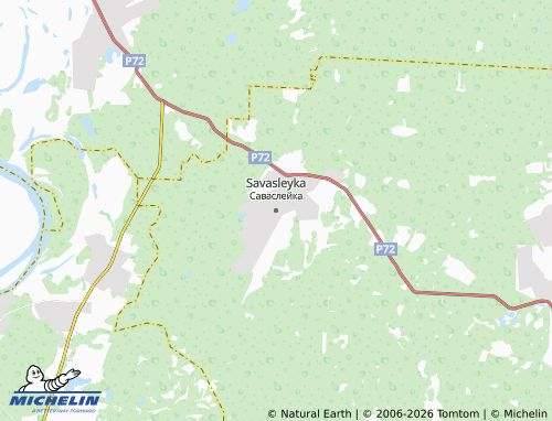 MICHELIN-Landkarte Savasleyka - ViaMichelin