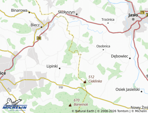 MICHELIN Pagorzyna map - ViaMichelin