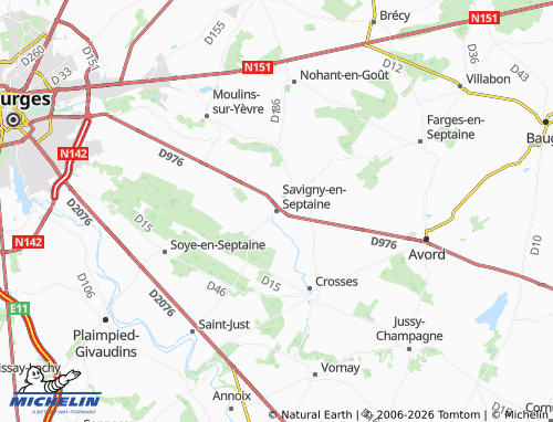 Carte MICHELIN Savigny-en-Septaine - ViaMichelin