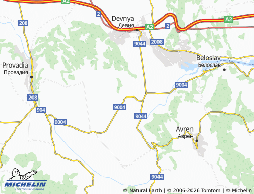MICHELIN-Landkarte Padina - ViaMichelin