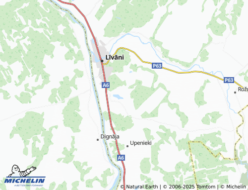 MICHELIN Iesalnieki map - ViaMichelin