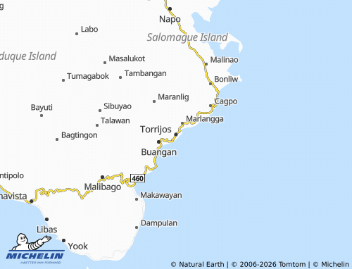 Mappa MICHELIN Torrijos - ViaMichelin