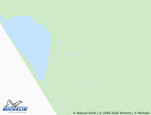 MICHELIN Runan map - ViaMichelin