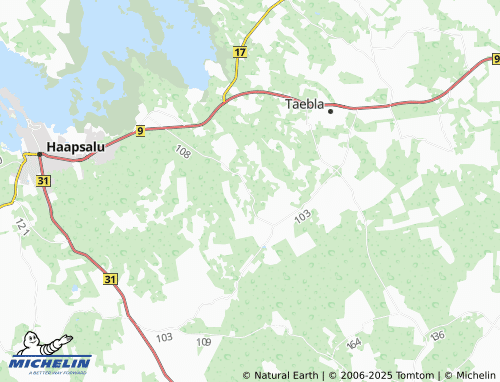 MICHELIN Tammiku map - ViaMichelin