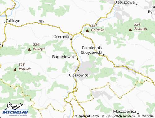 Carte MICHELIN Bogoniowice - ViaMichelin