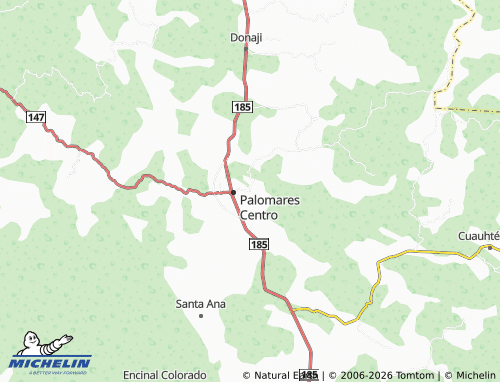Carte MICHELIN Nuevo Progreso - ViaMichelin