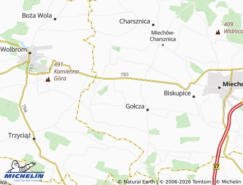 MICHELIN Kamienica map - ViaMichelin