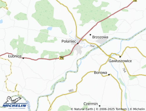 MICHELIN-Landkarte Rybitwy - ViaMichelin