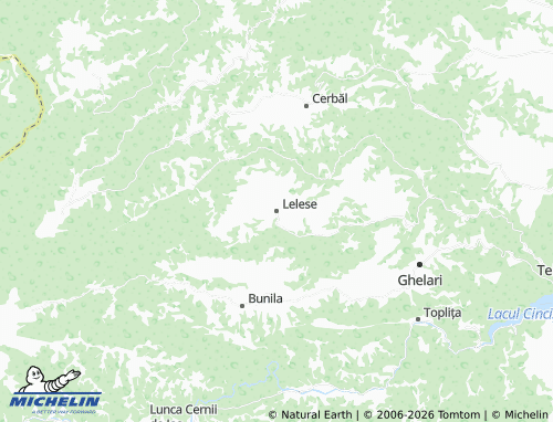 MICHELIN Lelese map - ViaMichelin