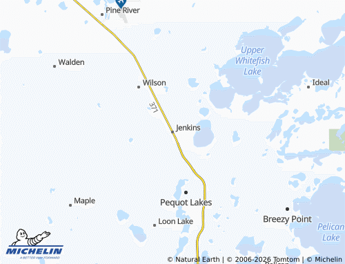 Carte MICHELIN Jenkins - ViaMichelin