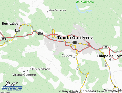 Mappa MICHELIN Jardines de Buena Vista - ViaMichelin