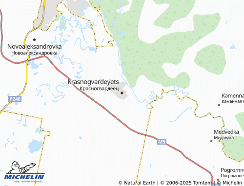 MICHELIN Krasnogvardeyets map - ViaMichelin