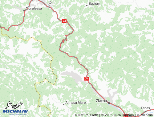 Carte MICHELIN Botești - ViaMichelin