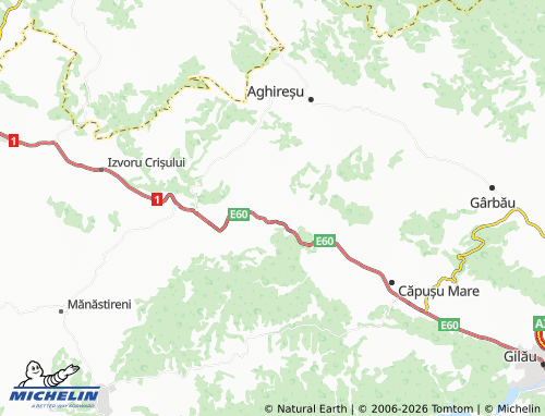 MICHELIN Dumbrava map - ViaMichelin