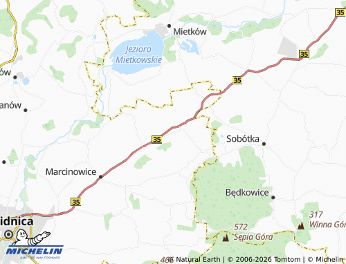MICHELIN Strzelce map - ViaMichelin