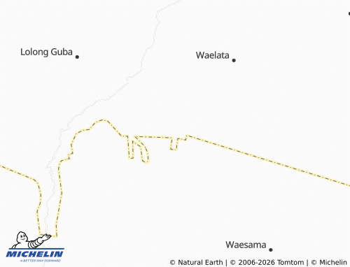 MICHELIN Waehata map - ViaMichelin
