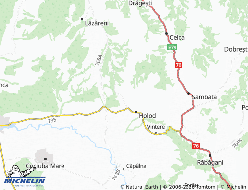 Carte MICHELIN Hodiș - ViaMichelin