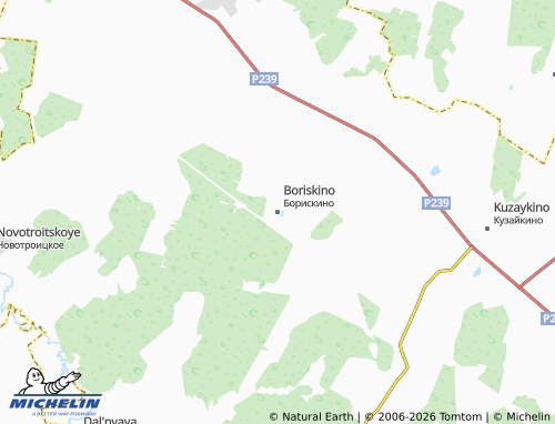 MICHELIN-Landkarte Boriskino - ViaMichelin