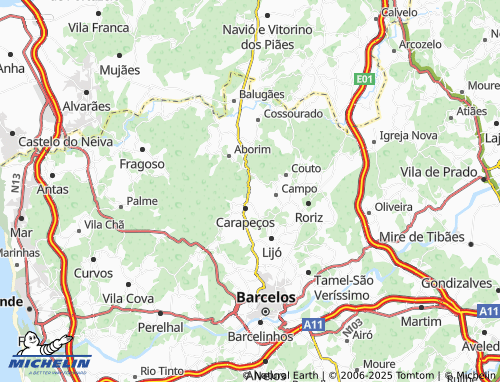 Mapa MICHELIN Tamel-São Pedro Fins - ViaMichelin