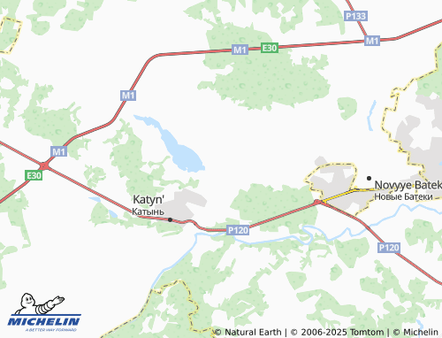 MICHELIN Ladyzhitsy map - ViaMichelin