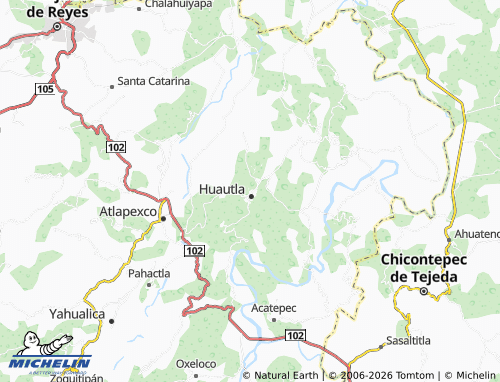 MICHELIN del Salto map - ViaMichelin