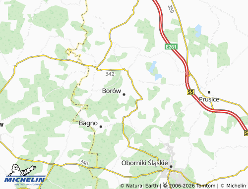 Mappa MICHELIN Borów - ViaMichelin