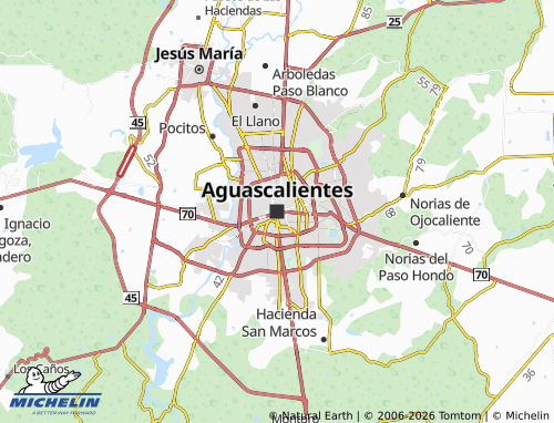 Carte MICHELIN Aguascalientes - ViaMichelin