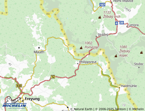 MICHELIN Vorderfirmiansreut map - ViaMichelin