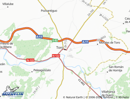 Mappa MICHELIN Toro - ViaMichelin