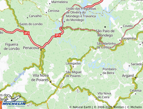 MICHELIN Carregal map - ViaMichelin