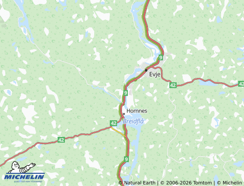 MICHELIN-Landkarte Dåsnes - ViaMichelin