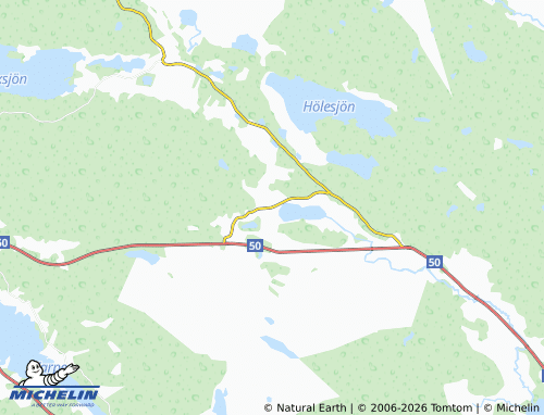 Carte MICHELIN Rengsjö - ViaMichelin
