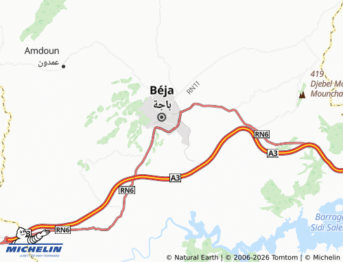 Carte MICHELIN Béja Sud - ViaMichelin