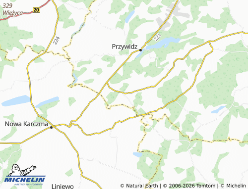 MICHELIN Borowina map - ViaMichelin