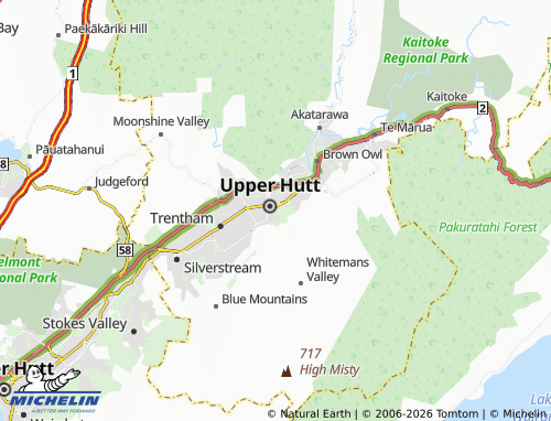 Mapa MICHELIN Maidstone - ViaMichelin