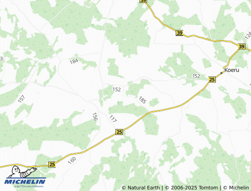 MICHELIN Tammiku map - ViaMichelin