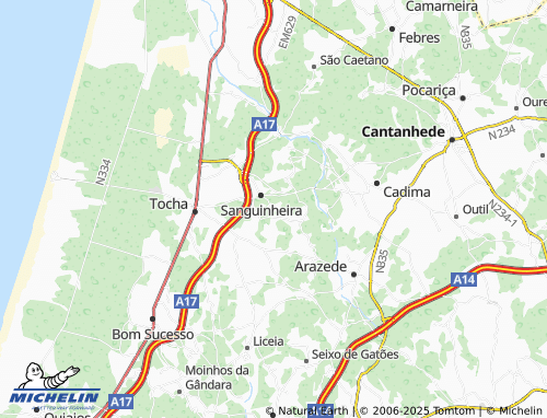 Mappa MICHELIN Lagoa Alta - ViaMichelin