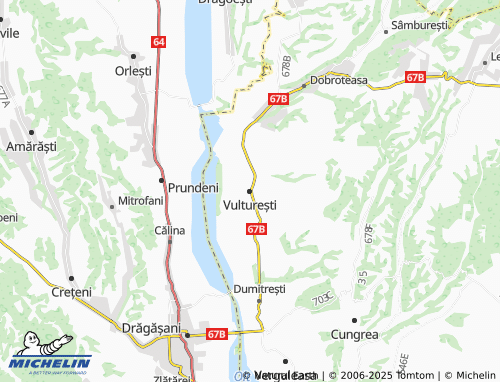 MICHELIN Vulturești map - ViaMichelin