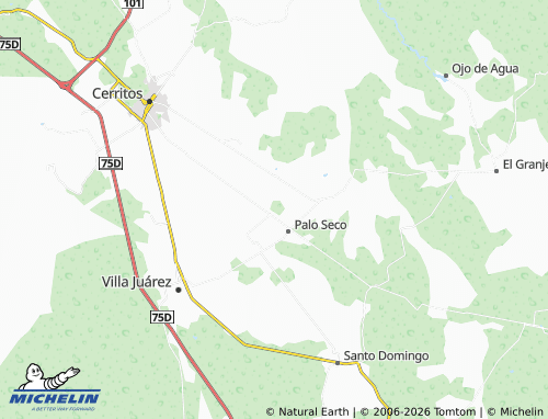 MICHELIN Nuevo Ejido de San Pedro de Los Hernández map - ViaMichelin