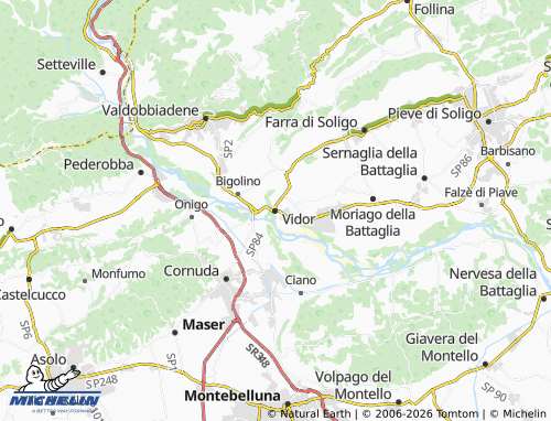MICHELIN Vidor map - ViaMichelin