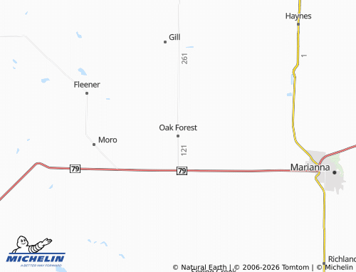 Mapa MICHELIN Oak Forest - ViaMichelin