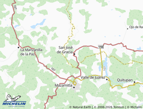 MICHELIN-Landkarte Los Cedros - ViaMichelin
