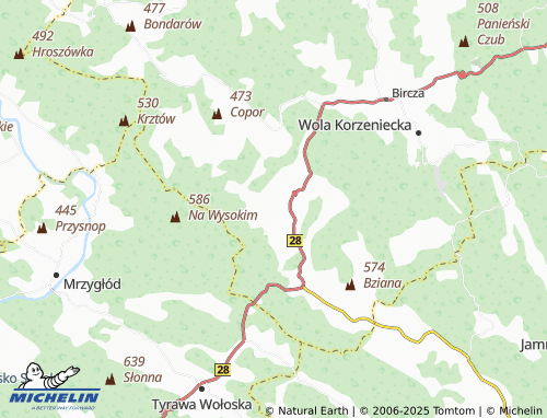 MICHELIN Leszczawka map - ViaMichelin