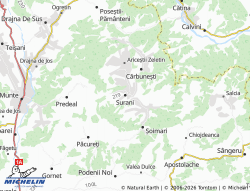 MICHELIN Surani map - ViaMichelin