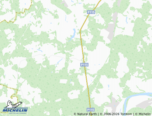 Carte MICHELIN Boyarkino - ViaMichelin