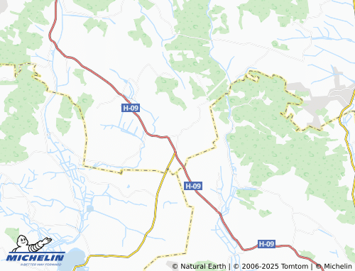 MICHELIN-Landkarte Novi Strilyshcha - ViaMichelin