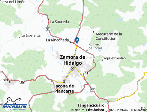 Mappa MICHELIN Jardines de San Joaquín - ViaMichelin
