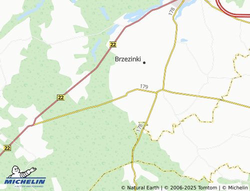 MICHELIN Dzikowo map - ViaMichelin