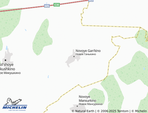 MICHELIN Novoye Gan'kino map - ViaMichelin