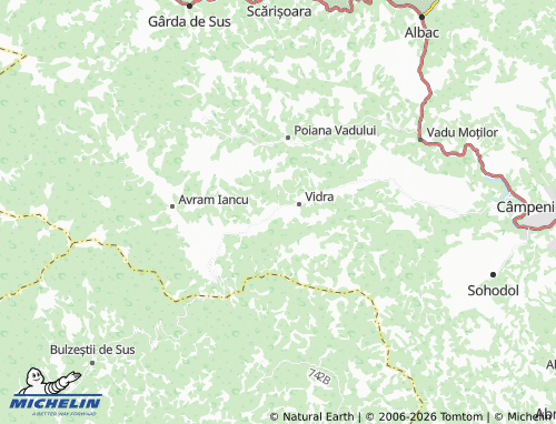 MICHELIN-Landkarte Nemeși - ViaMichelin